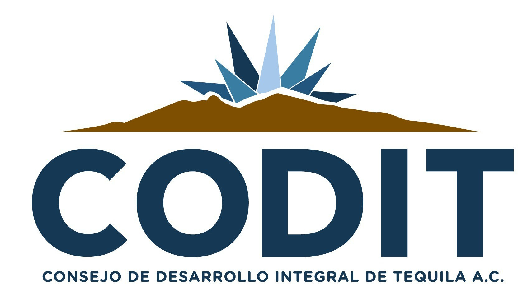 Logo Codit Aplicaciones-jpg